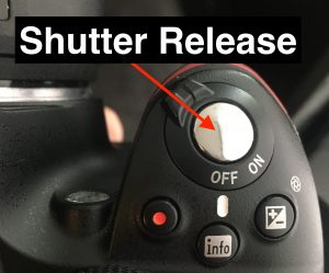 Shutter release button