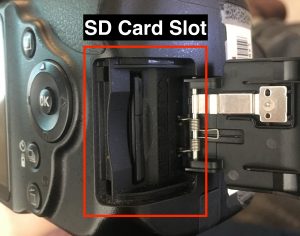 SD Card slot