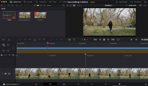 how to locate davinci resolve serial number