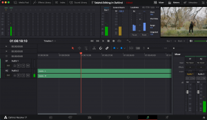 how to hear audio while editing in davinci resolve